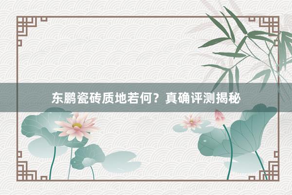 东鹏瓷砖质地若何？真确评测揭秘