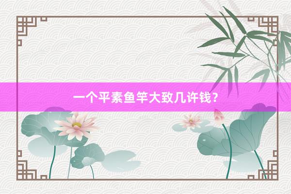 一个平素鱼竿大致几许钱？